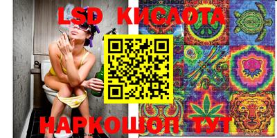шишки Ирбит