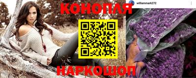 шишки Ирбит