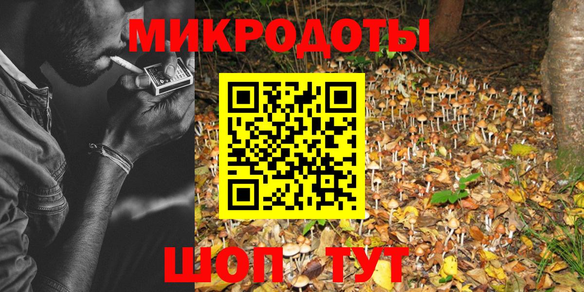 Псилоцибиновые грибы Cubensis Ленинск-Кузнецкий