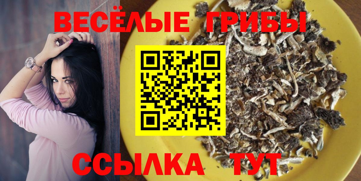 Ленинск-Кузнецкий  Псилоцибиновые грибы мицелий  Вход с VPN  даркнет сайт  Галлюциногенные грибы прущие грибы 